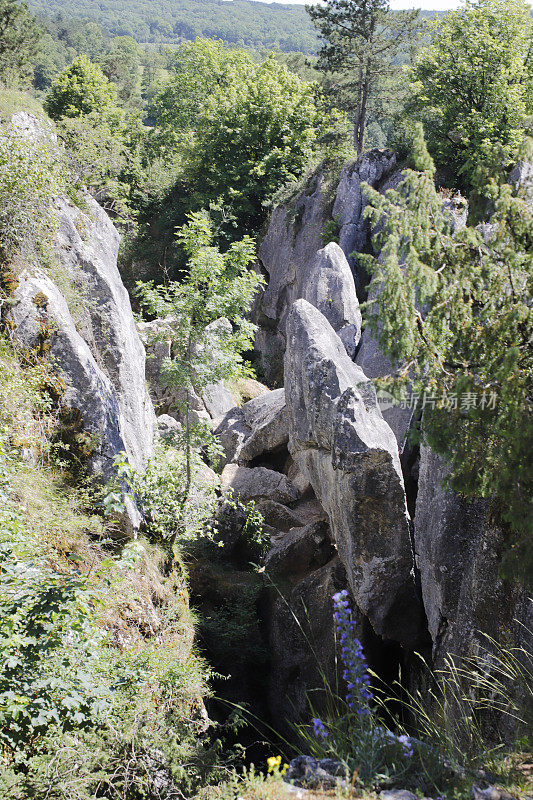 Fondry des Chiens(比利时南部瓦隆地区)